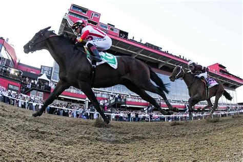 preakness stakes betting